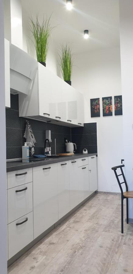 Apartamenty Rynek R Перемишль Екстер'єр фото